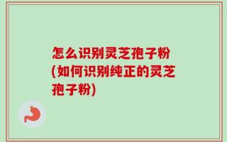 怎么识别灵芝孢子粉 (如何识别纯正的灵芝孢子粉)