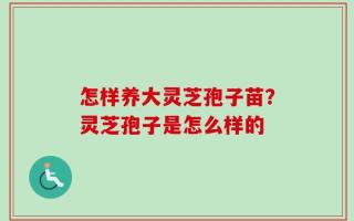 怎样养大灵芝孢子苗？灵芝孢子是怎么样的