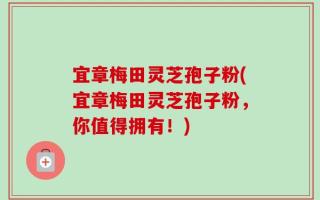 宜章梅田灵芝孢子粉(宜章梅田灵芝孢子粉，你值得拥有！)