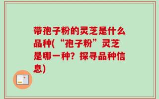 带孢子粉的灵芝是什么品种(“孢子粉”灵芝是哪一种？探寻品种信息)