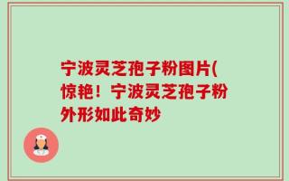 宁波灵芝孢子粉图片(惊艳！宁波灵芝孢子粉外形如此奇妙