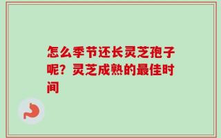 怎么季节还长灵芝孢子呢？灵芝成熟的最佳时间