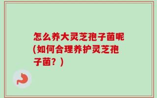 怎么养大灵芝孢子菌呢(如何合理养护灵芝孢子菌？)
