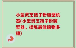 小型灵芝孢子粉破壁机器(小型灵芝孢子粉破壁器，提炼最佳植物多糖)