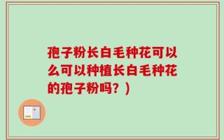 孢子粉长白毛种花可以么可以种植长白毛种花的孢子粉吗？)