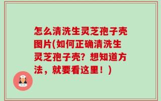 怎么清洗生灵芝孢子壳图片(如何正确清洗生灵芝孢子壳？想知道方法，就要看这里！)