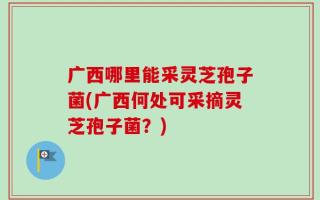 广西哪里能采灵芝孢子菌(广西何处可采摘灵芝孢子菌？)
