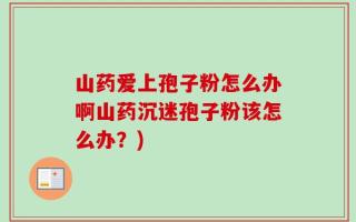 山药爱上孢子粉怎么办啊山药沉迷孢子粉该怎么办？)