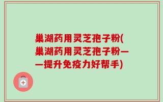 巢湖药用灵芝孢子粉(巢湖药用灵芝孢子粉——提升免疫力好帮手)
