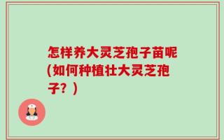 怎样养大灵芝孢子苗呢(如何种植壮大灵芝孢子？)