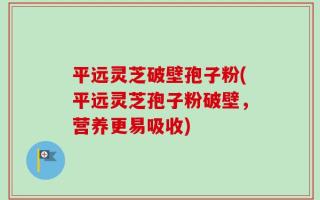平远灵芝破壁孢子粉(平远灵芝孢子粉破壁，营养更易吸收)