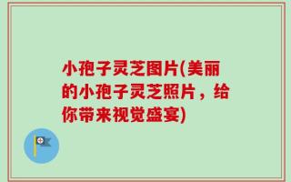 小孢子灵芝图片(美丽的小孢子灵芝照片，给你带来视觉盛宴)