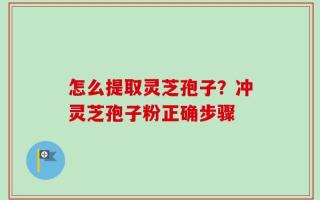 怎么提取灵芝孢子？冲灵芝孢子粉正确步骤