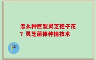 怎么种巨型灵芝孢子花？灵芝菌棒种植技术