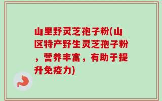 山里野灵芝孢子粉(山区特产野生灵芝孢子粉，营养丰富，有助于提升免疫力)