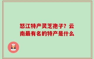 怒江特产灵芝孢子？云南最有名的特产是什么