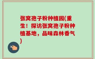 张窝孢子粉种植园(重生！探访张窝孢子粉种植基地，品味森林香气)