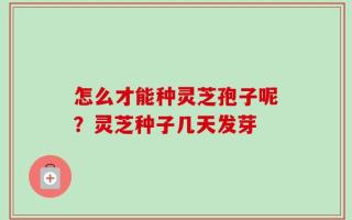 怎么才能种灵芝孢子呢？灵芝种子几天发芽