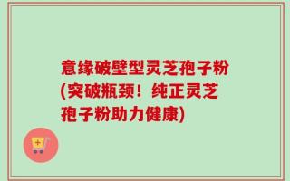 意缘破壁型灵芝孢子粉(突破瓶颈！纯正灵芝孢子粉助力健康)