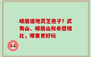 峨眉道地灵芝孢子？武夷山、峨眉山和赤壁相比，哪里更好玩