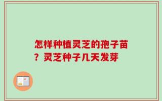 怎样种植灵芝的孢子苗？灵芝种子几天发芽