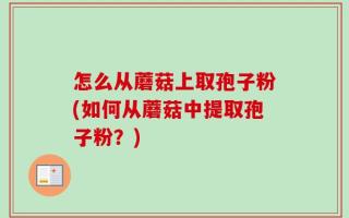 怎么从蘑菇上取孢子粉(如何从蘑菇中提取孢子粉？)