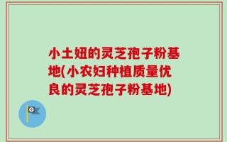 小土妞的灵芝孢子粉基地(小农妇种植质量优良的灵芝孢子粉基地)