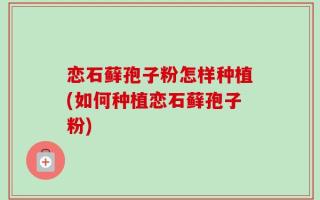 恋石藓孢子粉怎样种植(如何种植恋石藓孢子粉)