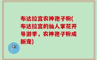 布达拉宫农神孢子粉(布达拉宫的仙人掌花开导游季，农神孢子粉成新宠)