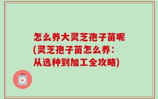 怎么养大灵芝孢子苗呢(灵芝孢子苗怎么养：从选种到加工全攻略)