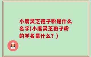 小度灵芝孢子粉是什么名字(小度灵芝孢子粉的学名是什么？)
