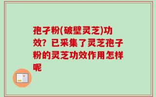 孢孑粉(破壁灵芝)功效？已采集了灵芝孢子粉的灵芝功效作用怎样呢