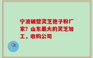 宁波破壁灵芝孢子粉厂家？山东最大的灵芝加工，收购公司