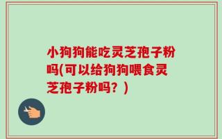 小狗狗能吃灵芝孢子粉吗(可以给狗狗喂食灵芝孢子粉吗？)