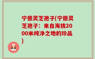 宁德灵芝孢子(宁德灵芝孢子：来自海拔2000米纯净之地的珍品)