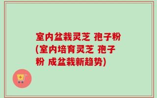 室内盆栽灵芝 孢子粉(室内培育灵芝 孢子粉 成盆栽新趋势)