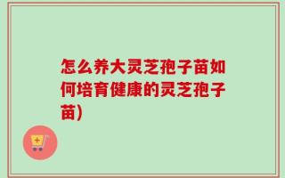 怎么养大灵芝孢子苗如何培育健康的灵芝孢子苗)