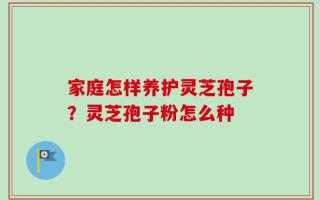 家庭怎样养护灵芝孢子？灵芝孢子粉怎么种