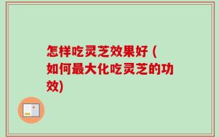 怎样吃灵芝效果好 (如何最大化吃灵芝的功效)