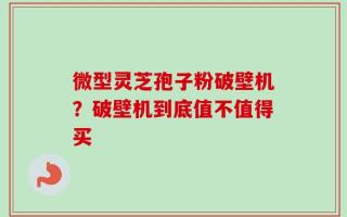 微型灵芝孢子粉破壁机？破壁机到底值不值得买