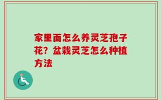 家里面怎么养灵芝孢子花？盆栽灵芝怎么种植方法