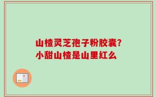 山楂灵芝孢子粉胶囊？小甜山楂是山里红么
