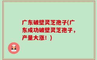 广东破壁灵芝孢子(广东成功破壁灵芝孢子，产量大涨！)