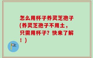 怎么用杯子养灵芝孢子(养灵芝孢子不用土，只需用杯子？快来了解！)