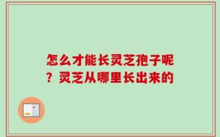 怎么才能长灵芝孢子呢？灵芝从哪里长出来的