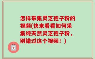怎样采集灵芝孢子粉的视频(快来看看如何采集纯天然灵芝孢子粉，别错过这个视频！)