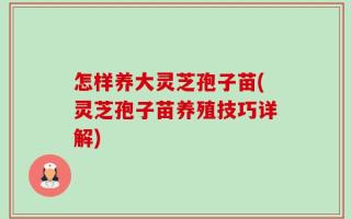 怎样养大灵芝孢子苗(灵芝孢子苗养殖技巧详解)