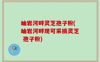岫岩河畔灵芝孢子粉(岫岩河畔现可采摘灵芝 孢子粉)