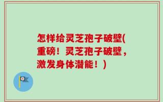 怎样给灵芝孢子破壁(重磅！灵芝孢子破壁，激发身体潜能！)