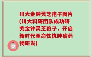 川大金钟灵芝孢子图片(川大科研团队成功研究金钟灵芝孢子，开启新时代革命性抗肿瘤药物研发)